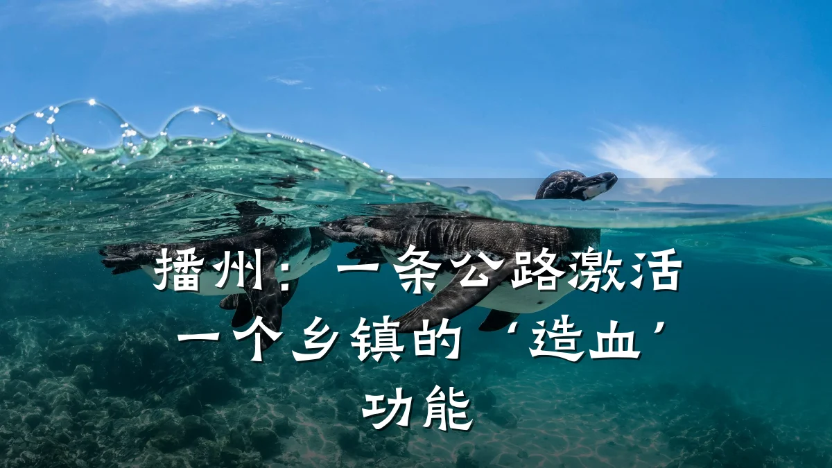 播州：一条公路激活一个乡镇的‘造血’功能