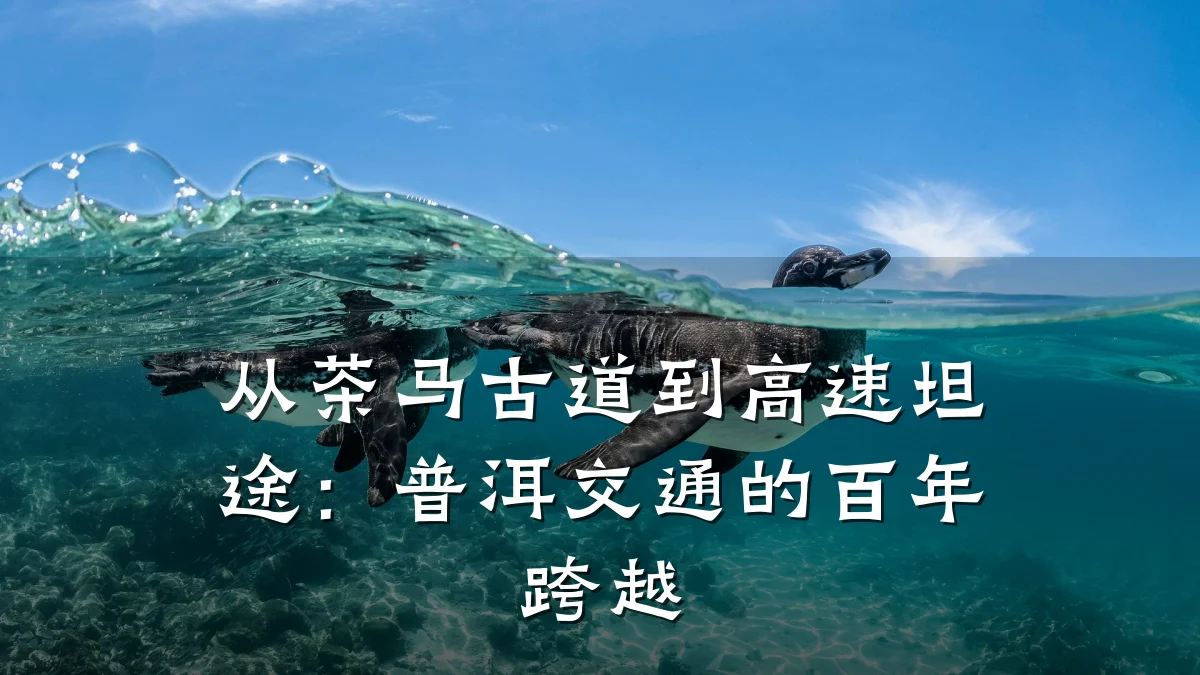 从茶马古道到高速坦途:普洱交通的百年跨越