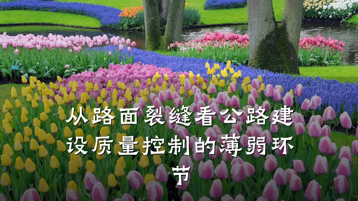 从路面裂缝看公路建设质量控制的薄弱环节