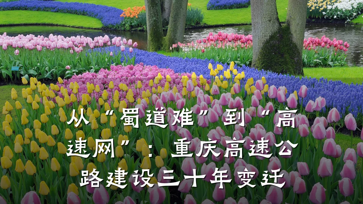 从“蜀道难”到“高速网”:重庆高速公路建设三十年变迁