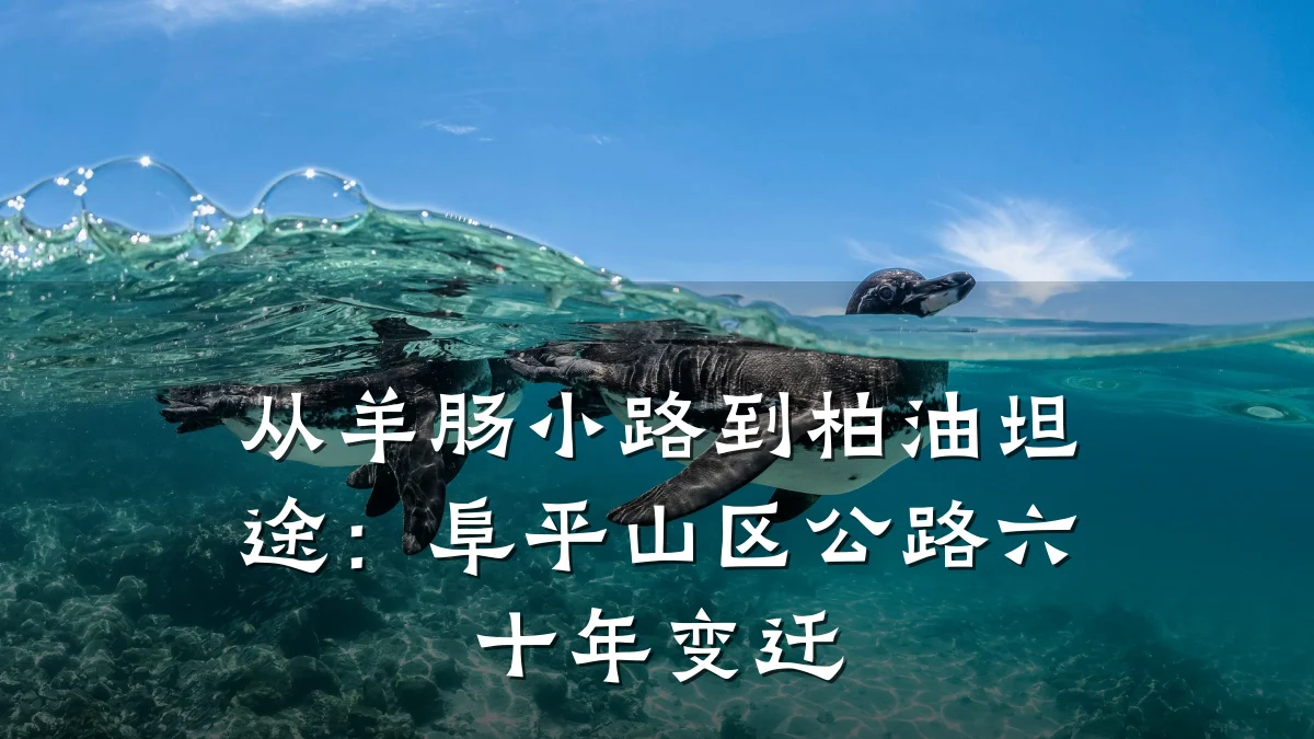 从羊肠小路到柏油坦途:阜平山区公路六十年变迁