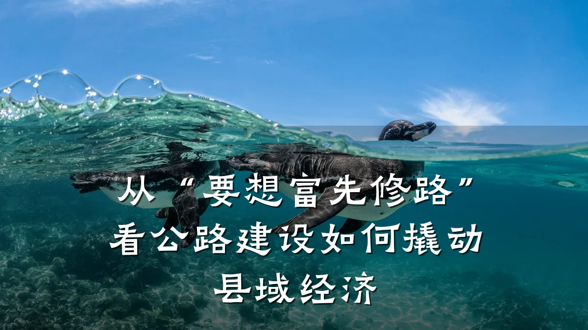 从“要想富先修路”看公路建设如何撬动县域经济