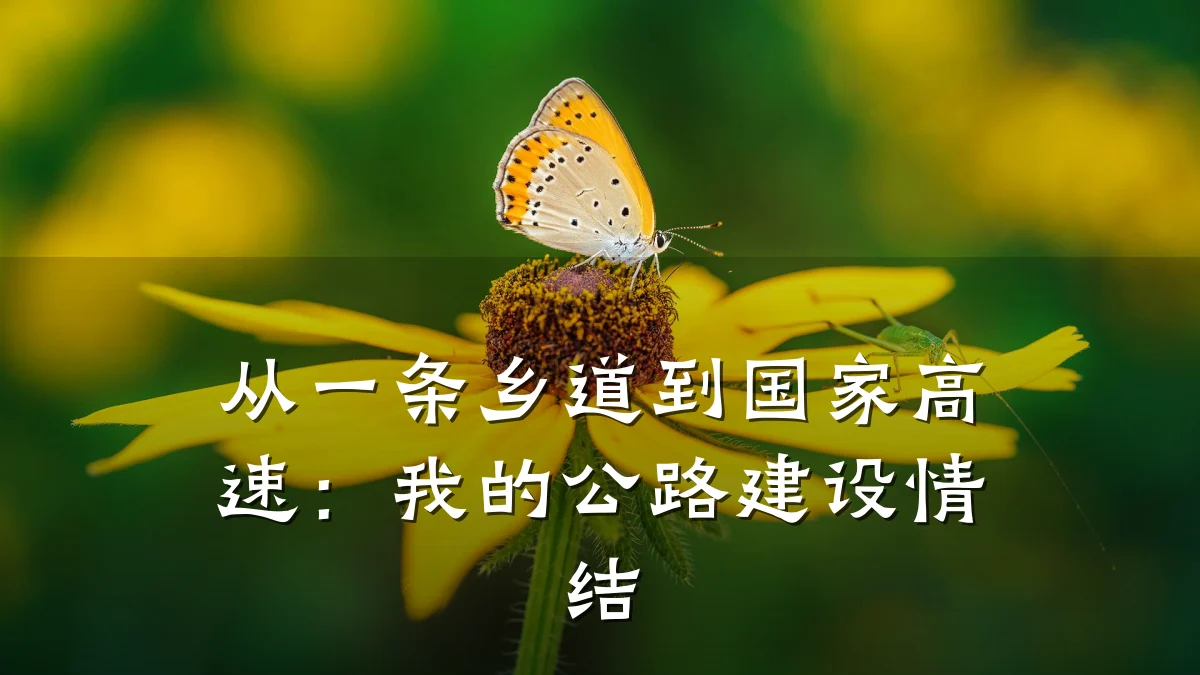 从一条乡道到国家高速:我的公路建设情结