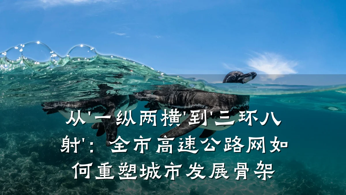 从'一纵两横'到'三环八射':全市高速公路网如何重塑城市发展骨架