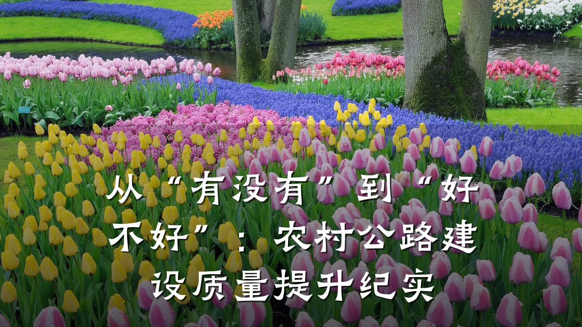 从“有没有”到“好不好”：农村公路建设质量提升纪实