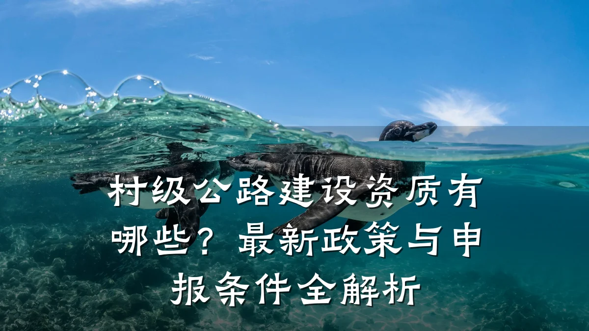 村级公路建设资质有哪些?最新政策与申报条件全解析