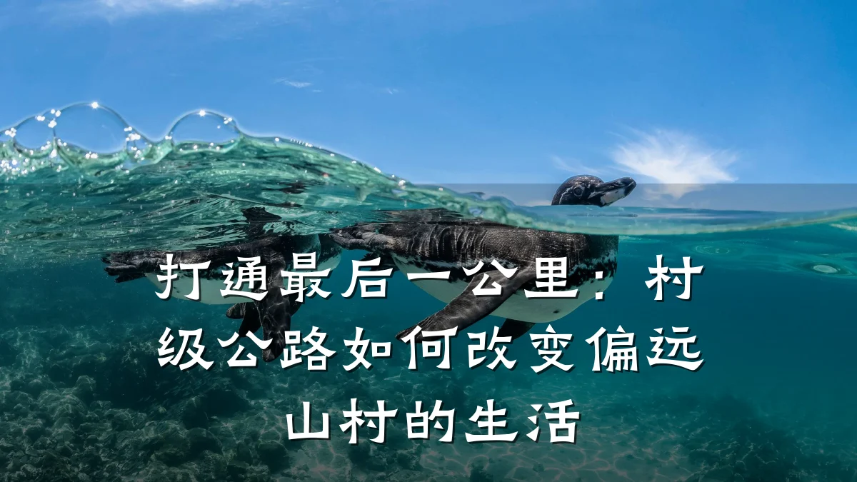 打通最后一公里:村级公路如何改变偏远山村的生活