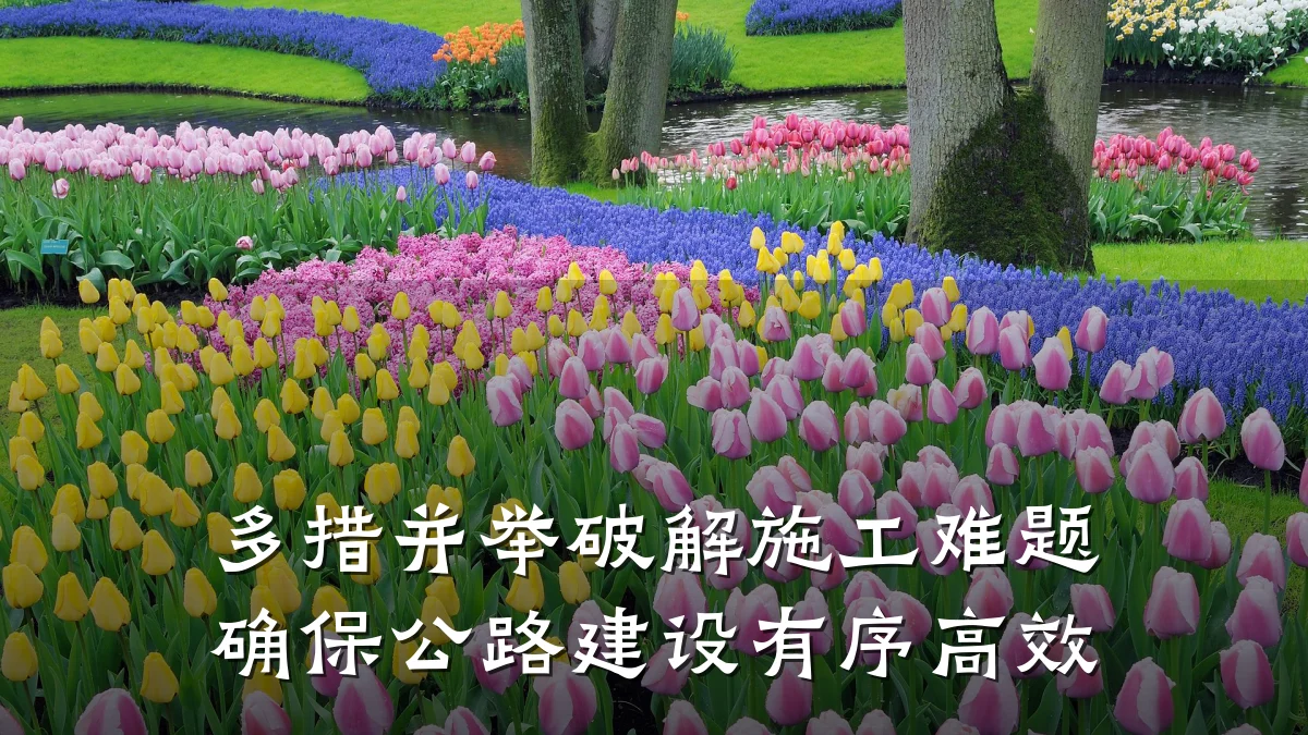 多措并举破解施工难题 确保公路建设有序高效