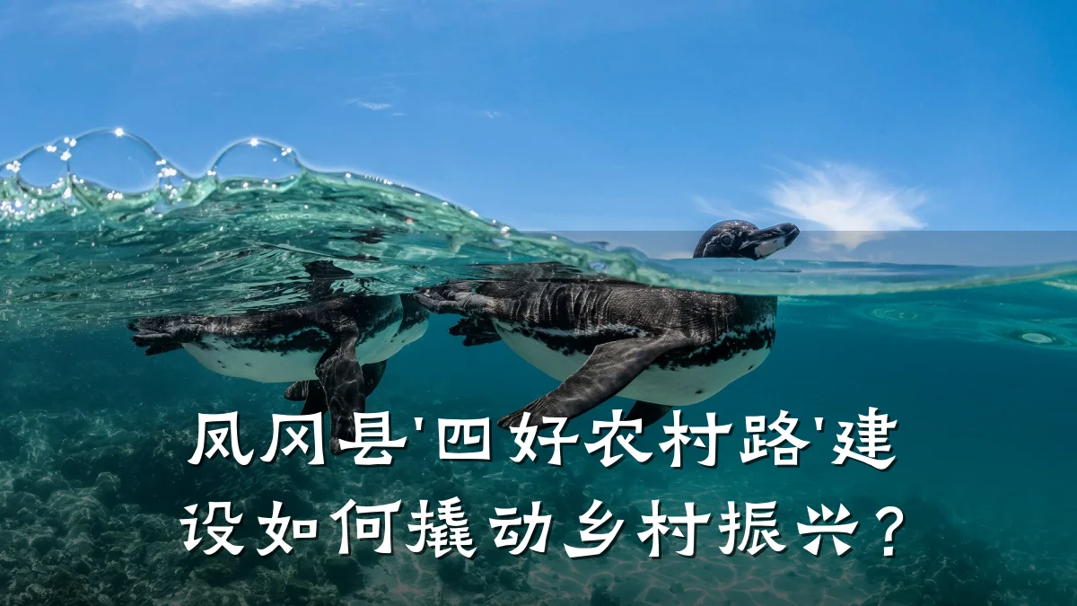 凤冈县'四好农村路'建设如何撬动乡村振兴?