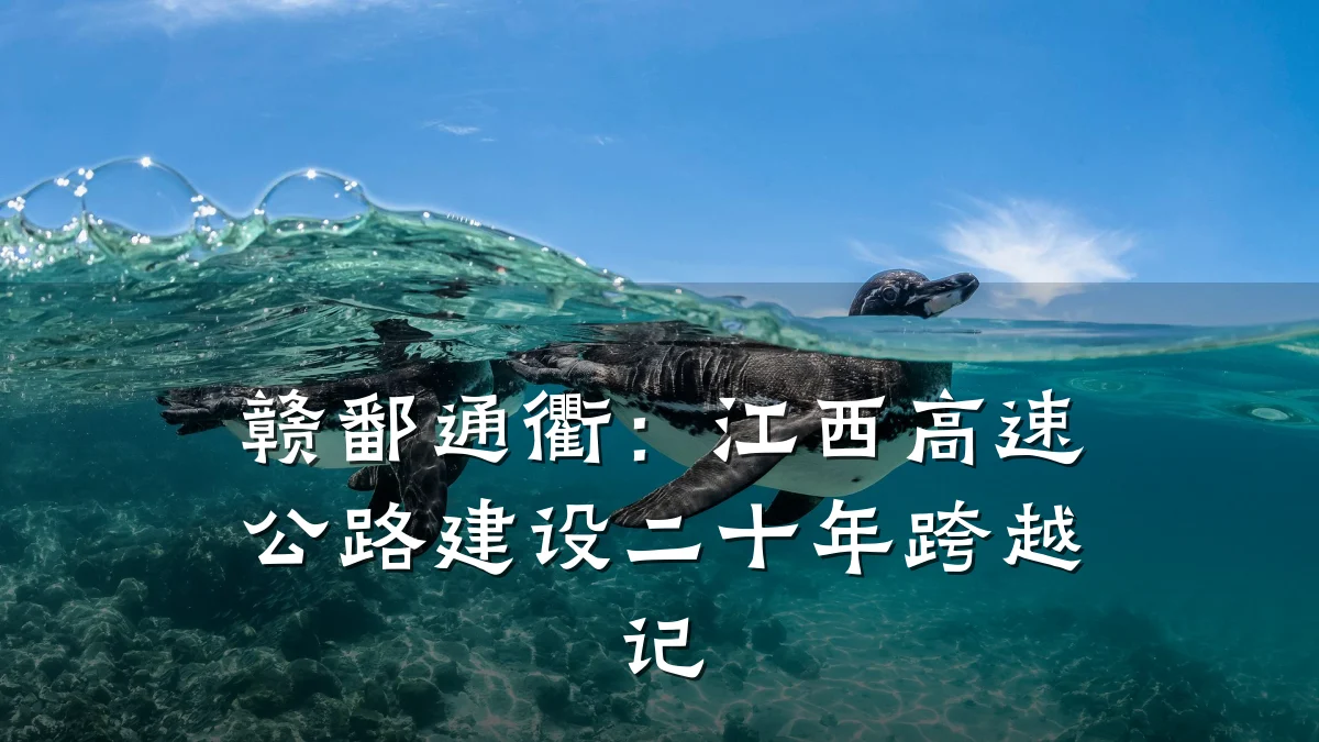 赣鄱通衢:江西高速公路建设二十年跨越记