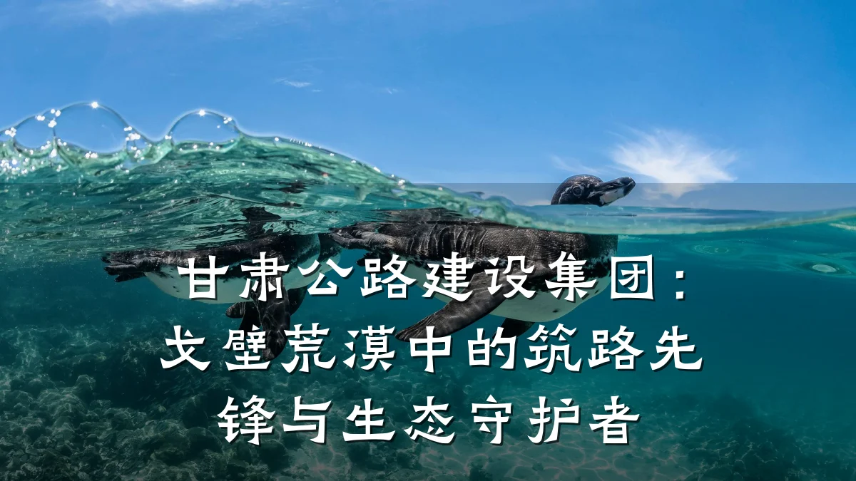 甘肃公路建设集团：戈壁荒漠中的筑路先锋与生态守护者