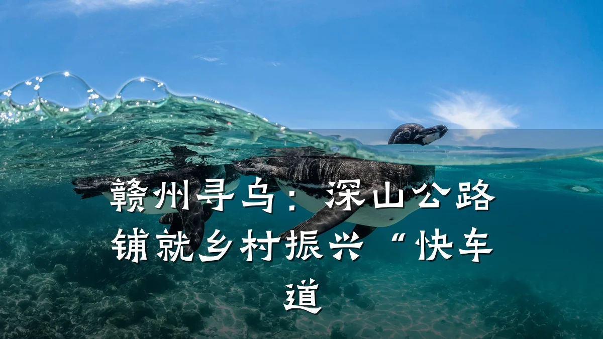 赣州寻乌:深山公路铺就乡村振兴“快车道