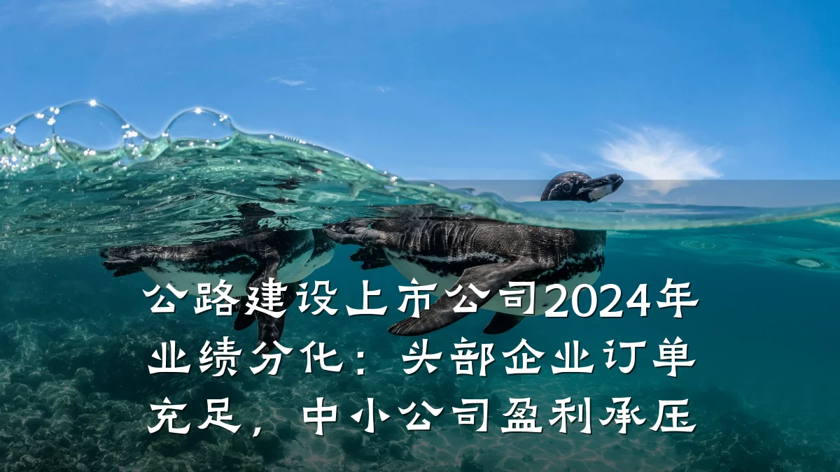 公路建设上市公司2024年业绩分化：头部企业订单充足，中小公司盈利承压
