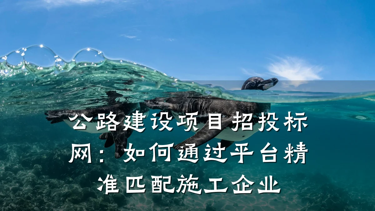 公路建设项目招投标网:如何通过平台精准匹配施工企业