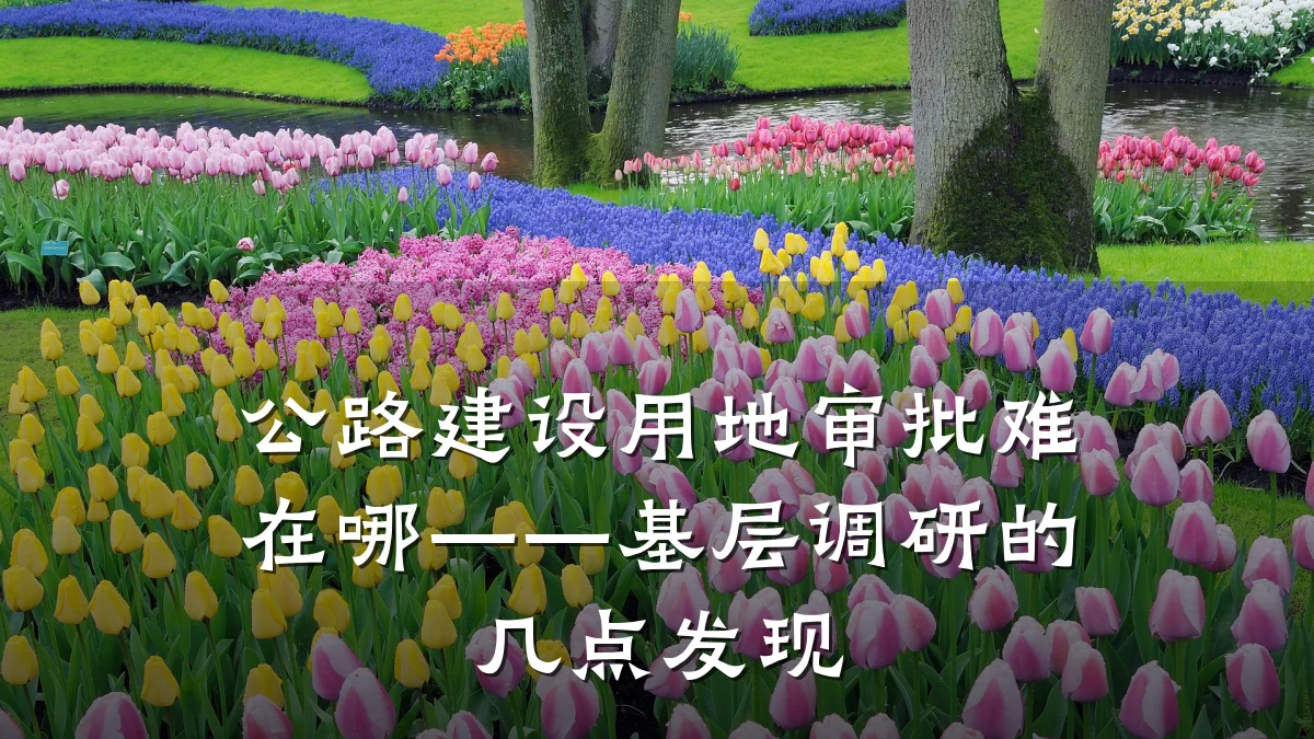 公路建设用地审批难在哪——基层调研的几点发现