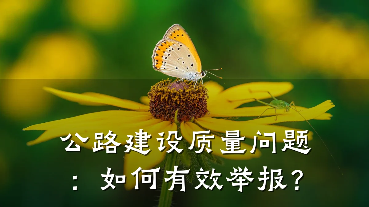 公路建设质量问题：如何有效举报？