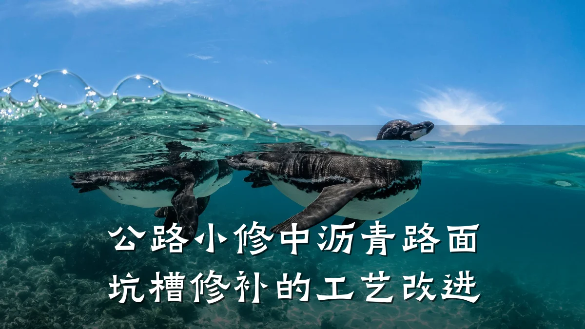 公路小修中沥青路面坑槽修补的工艺改进