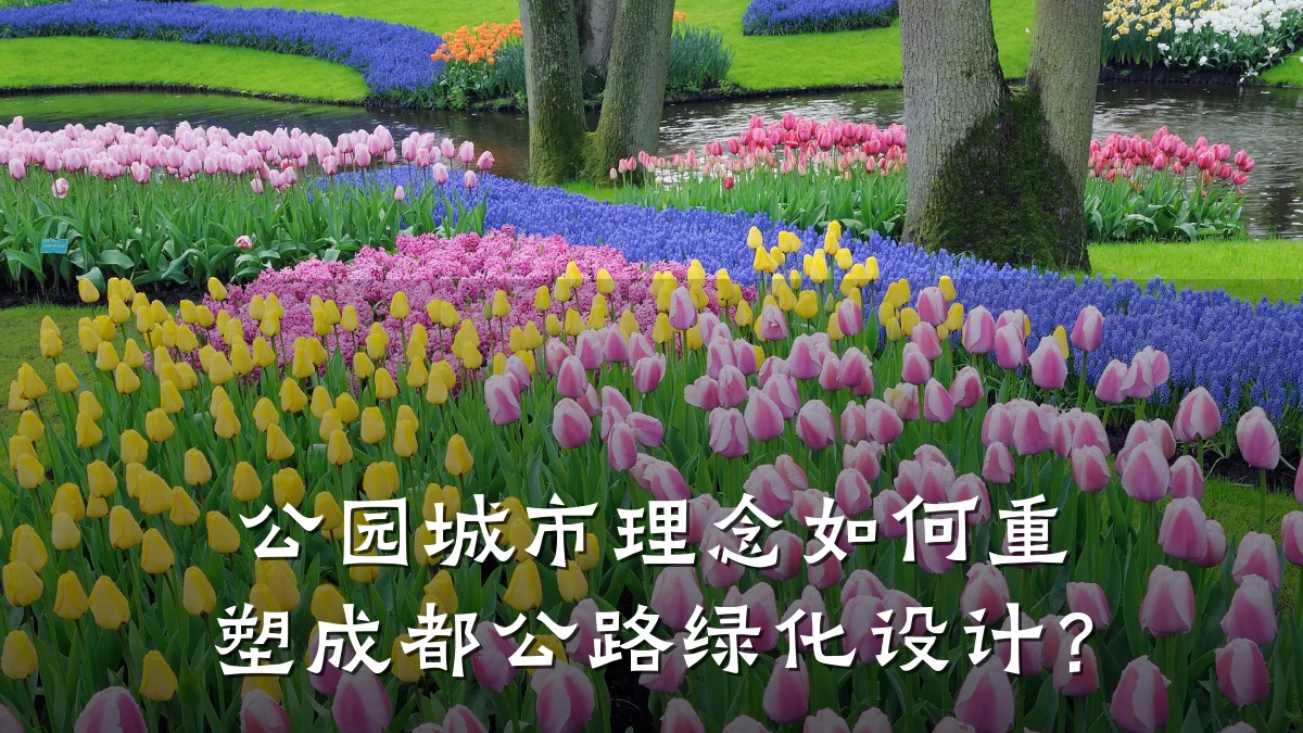 公园城市理念如何重塑成都公路绿化设计?