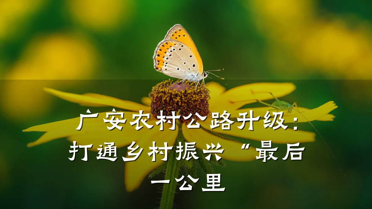 广安农村公路升级：打通乡村振兴“最后一公里