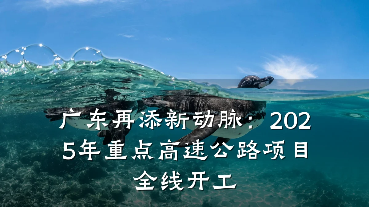 广东再添新动脉:2025年重点高速公路项目全线开工