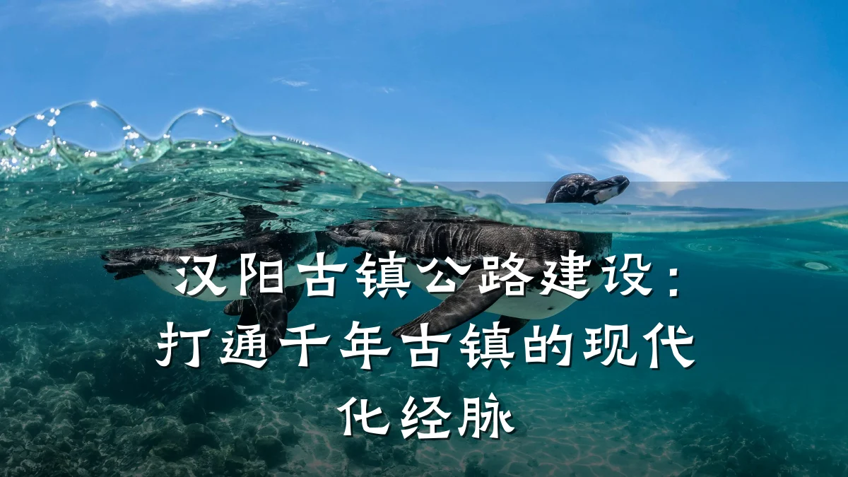 汉阳古镇公路建设：打通千年古镇的现代化经脉