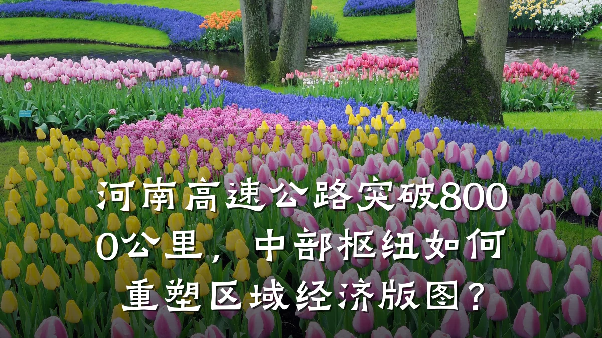河南高速公路突破8000公里,中部枢纽如何重塑区域经济版图?