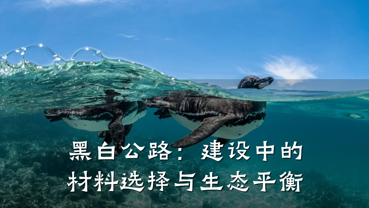 黑白公路：建设中的材料选择与生态平衡