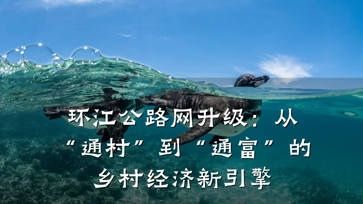 环江公路网升级:从“通村”到“通富”的乡村经济新引擎