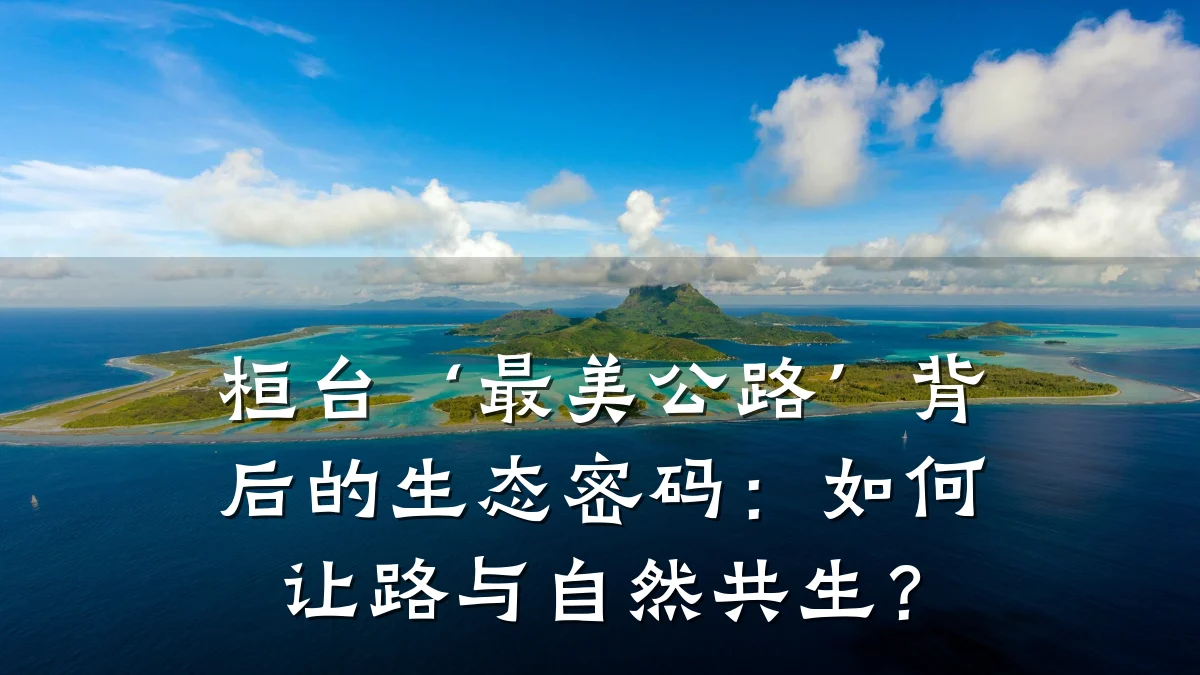 桓台‘最美公路’背后的生态密码:如何让路与自然共生?
