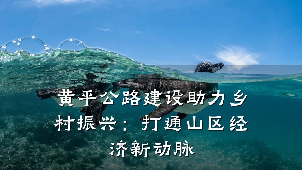 黄平公路建设助力乡村振兴:打通山区经济新动脉