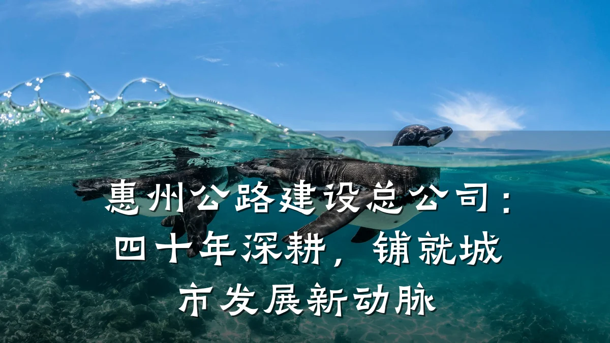 惠州公路建设总公司:四十年深耕,铺就城市发展新动脉