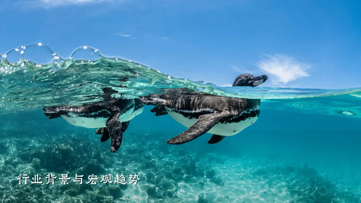 行业背景与宏观趋势