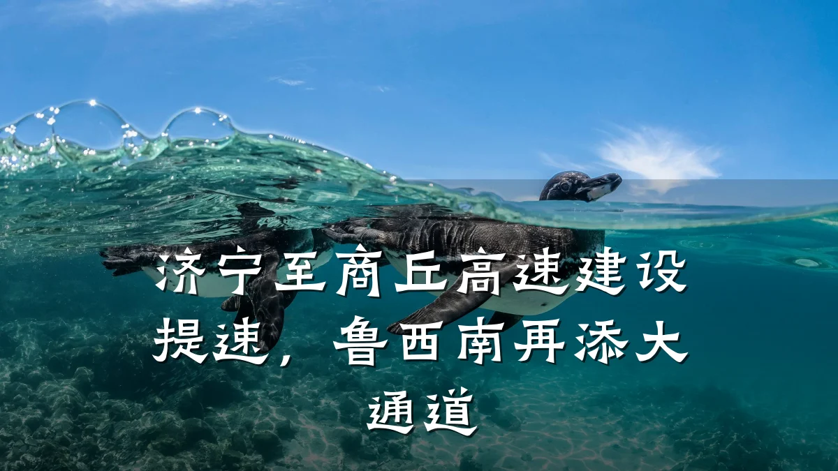 济宁至商丘高速建设提速,鲁西南再添大通道