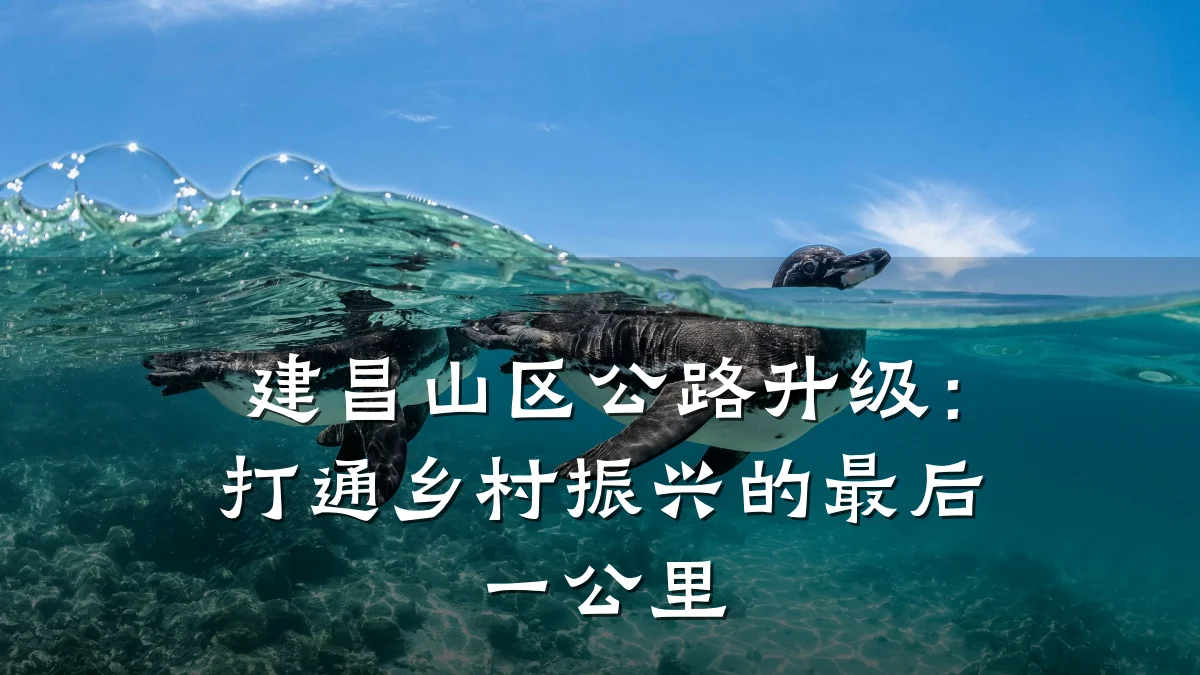 建昌山区公路升级:打通乡村振兴的最后一公里
