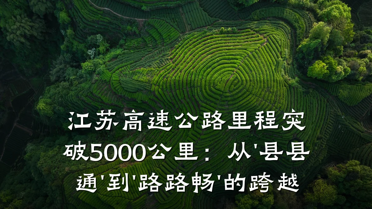 江苏高速公路里程突破5000公里:从'县县通'到'路路畅'的跨越