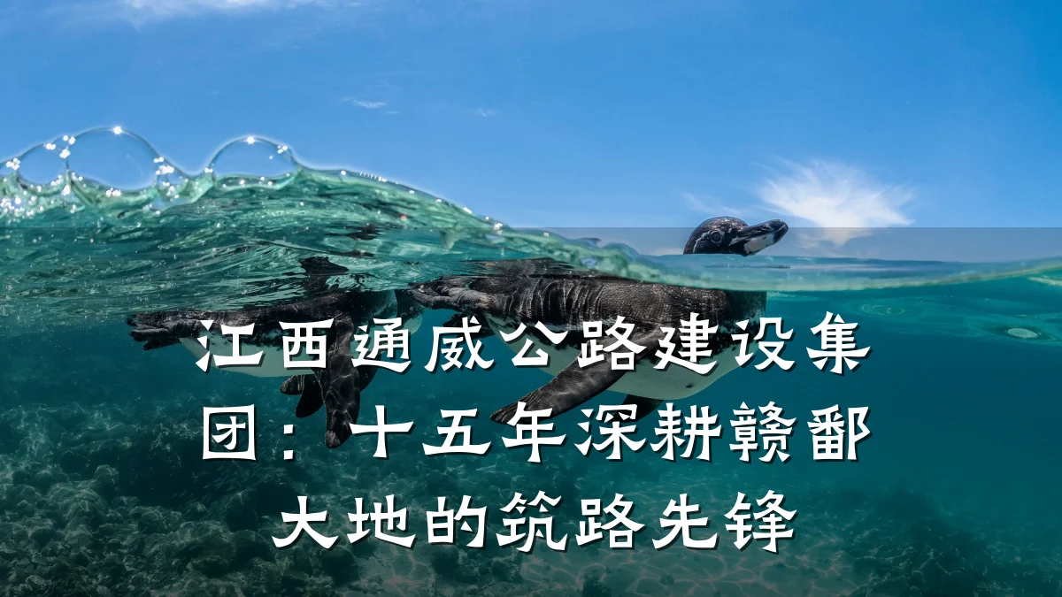 江西通威公路建设集团:十五年深耕赣鄱大地的筑路先锋