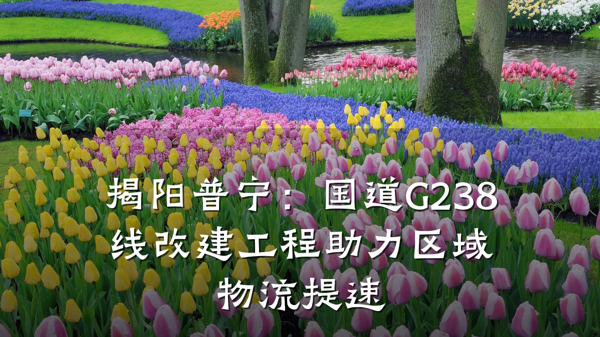 揭阳普宁:国道G238线改建工程助力区域物流提速