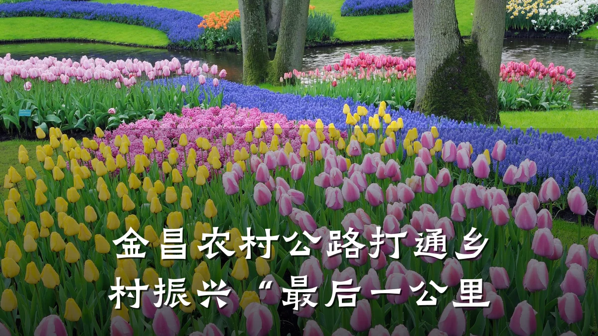 金昌农村公路打通乡村振兴“最后一公里
