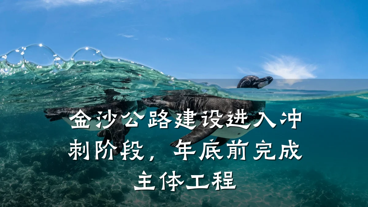金沙公路建设进入冲刺阶段，年底前完成主体工程
