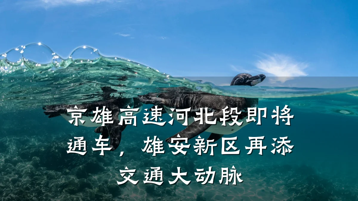 京雄高速河北段即将通车，雄安新区再添交通大动脉