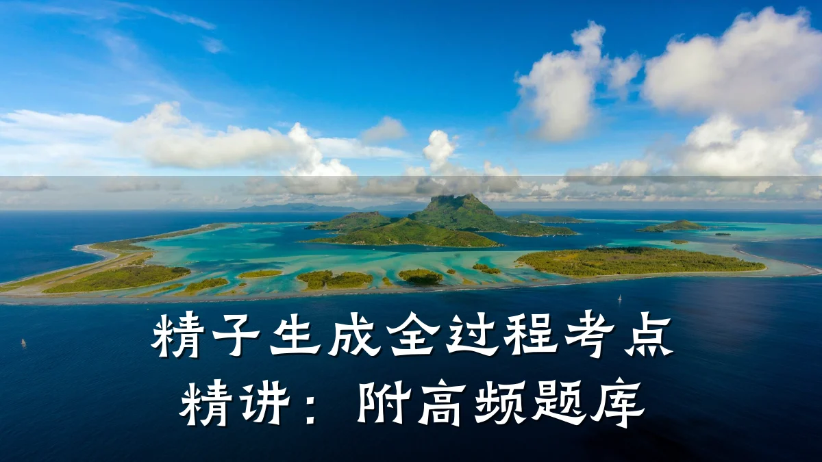 精子生成全过程考点精讲:附高频题库