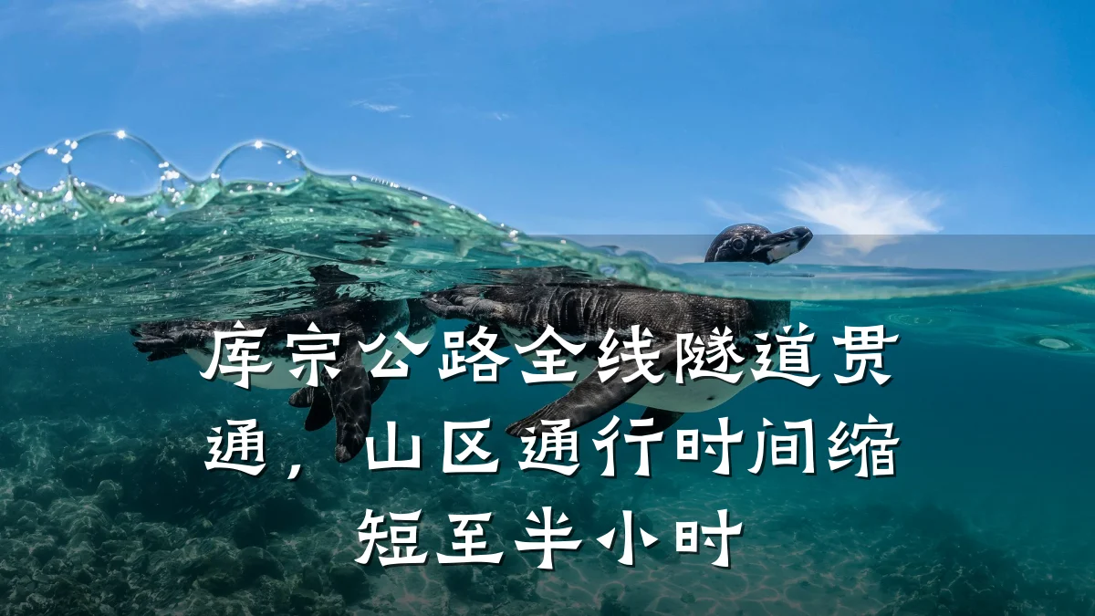 库宗公路全线隧道贯通,山区通行时间缩短至半小时