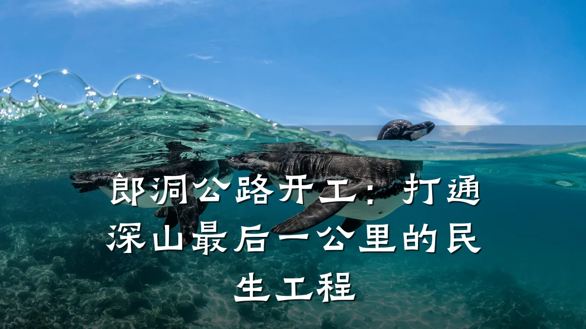 郎洞公路开工：打通深山最后一公里的民生工程