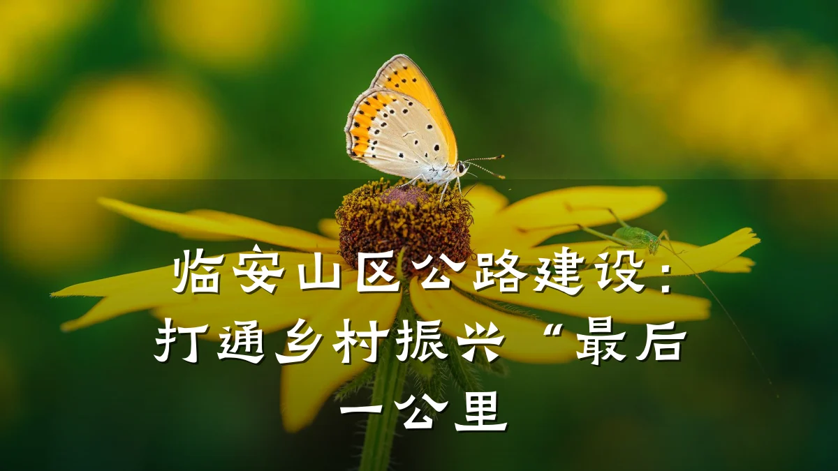 临安山区公路建设:打通乡村振兴“最后一公里