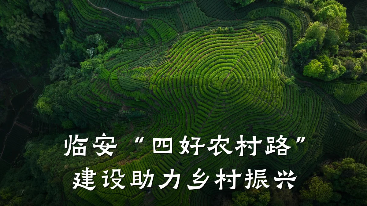 临安“四好农村路”建设助力乡村振兴