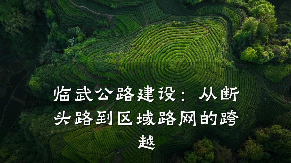 临武公路建设:从断头路到区域路网的跨越
