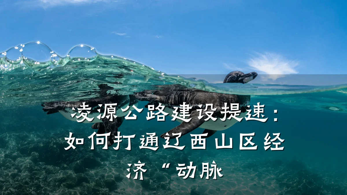 凌源公路建设提速:如何打通辽西山区经济“动脉