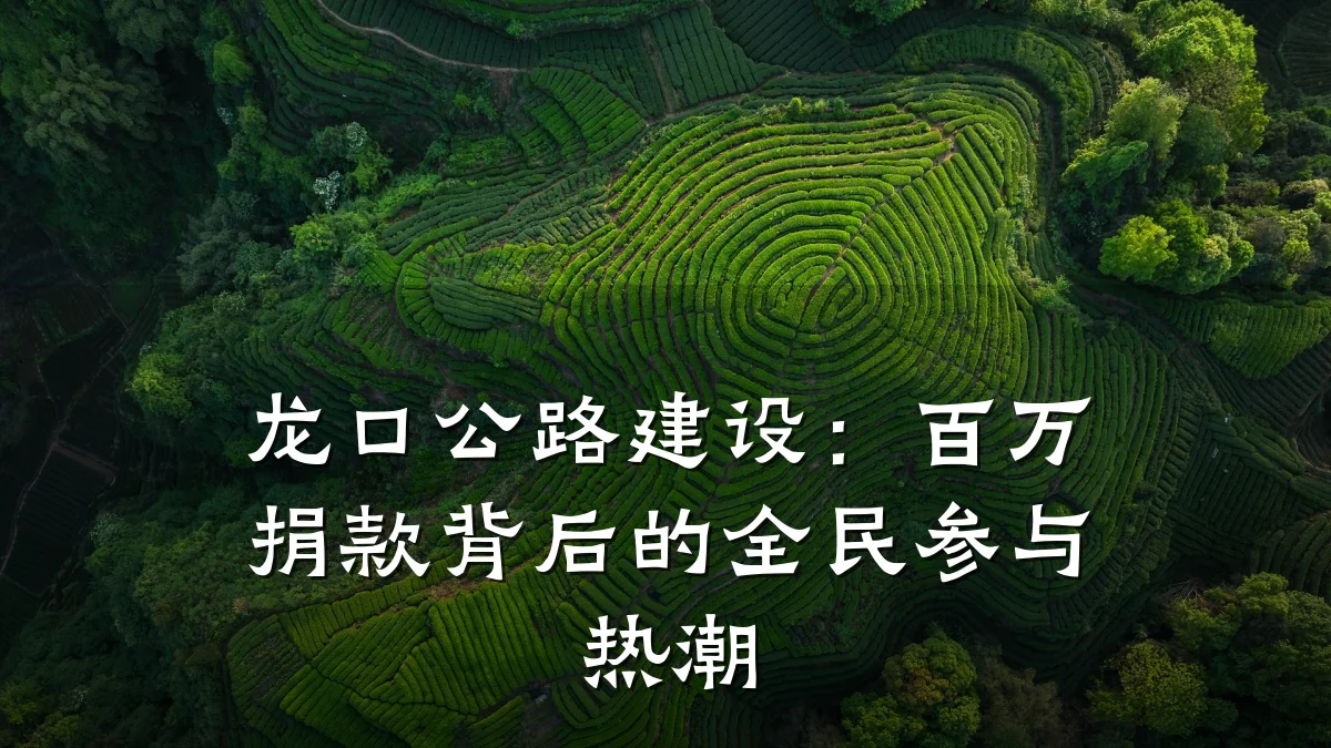 龙口公路建设:百万捐款背后的全民参与热潮