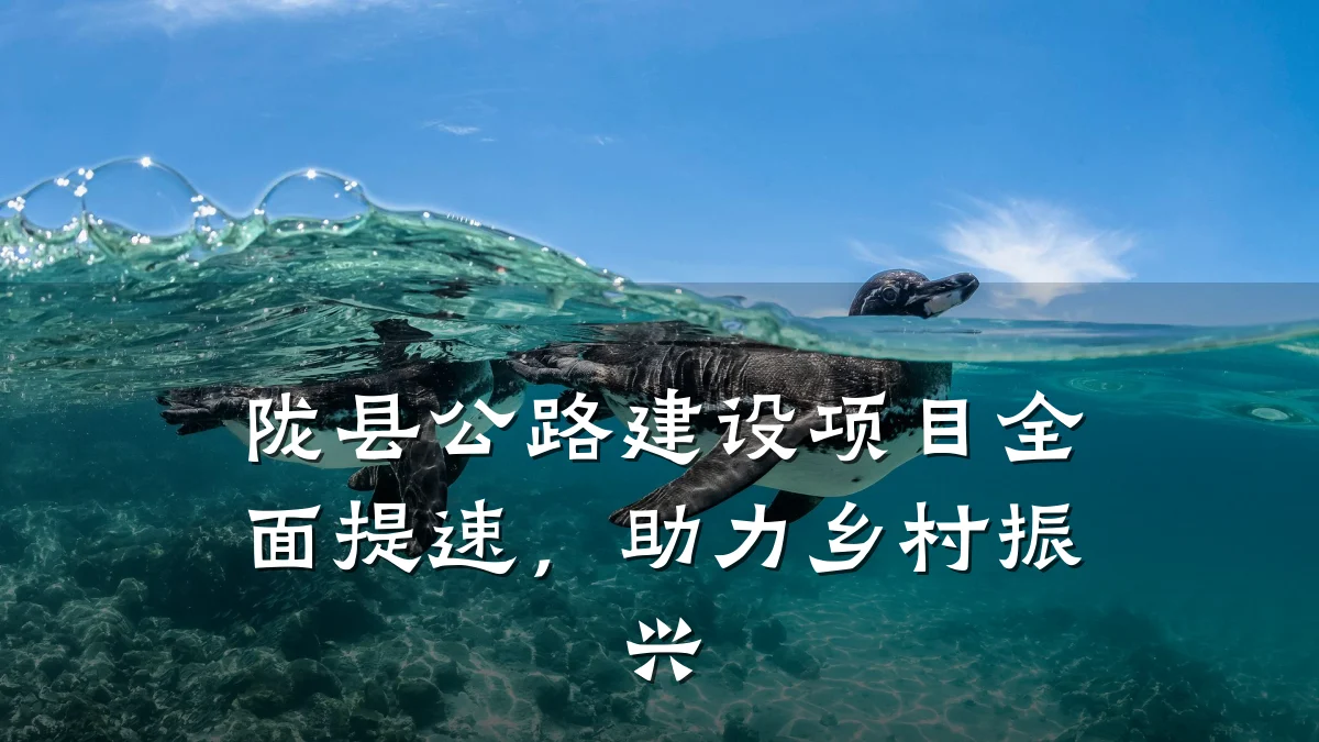 陇县公路建设项目全面提速,助力乡村振兴