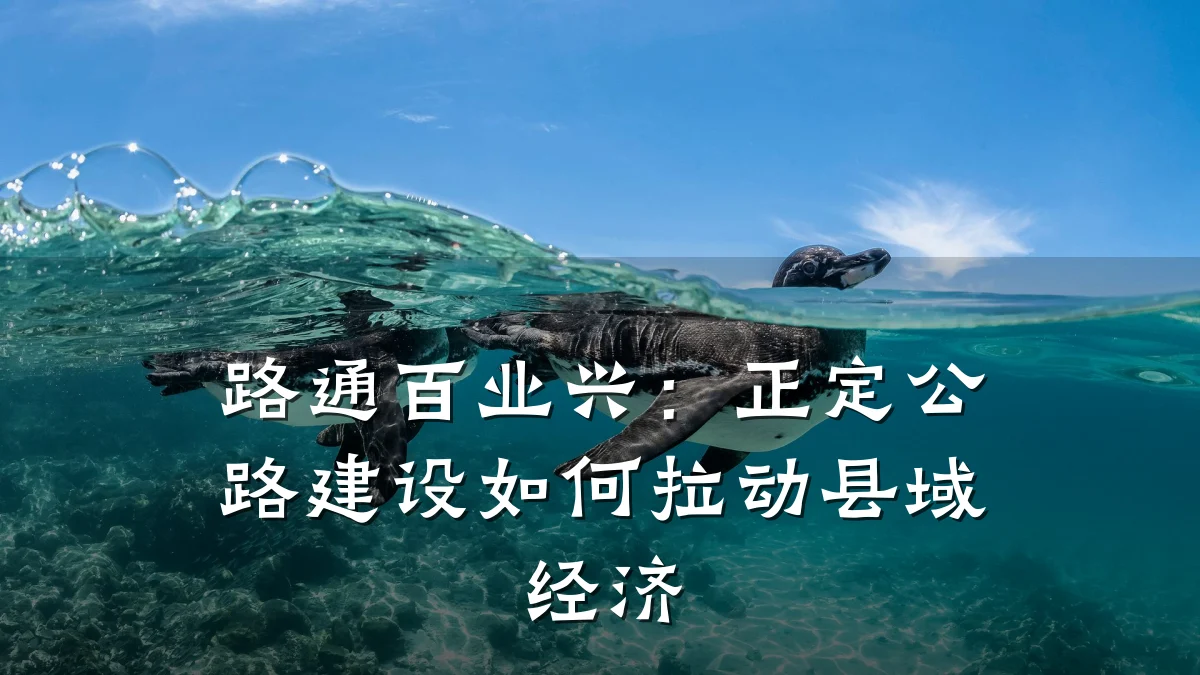路通百业兴:正定公路建设如何拉动县域经济